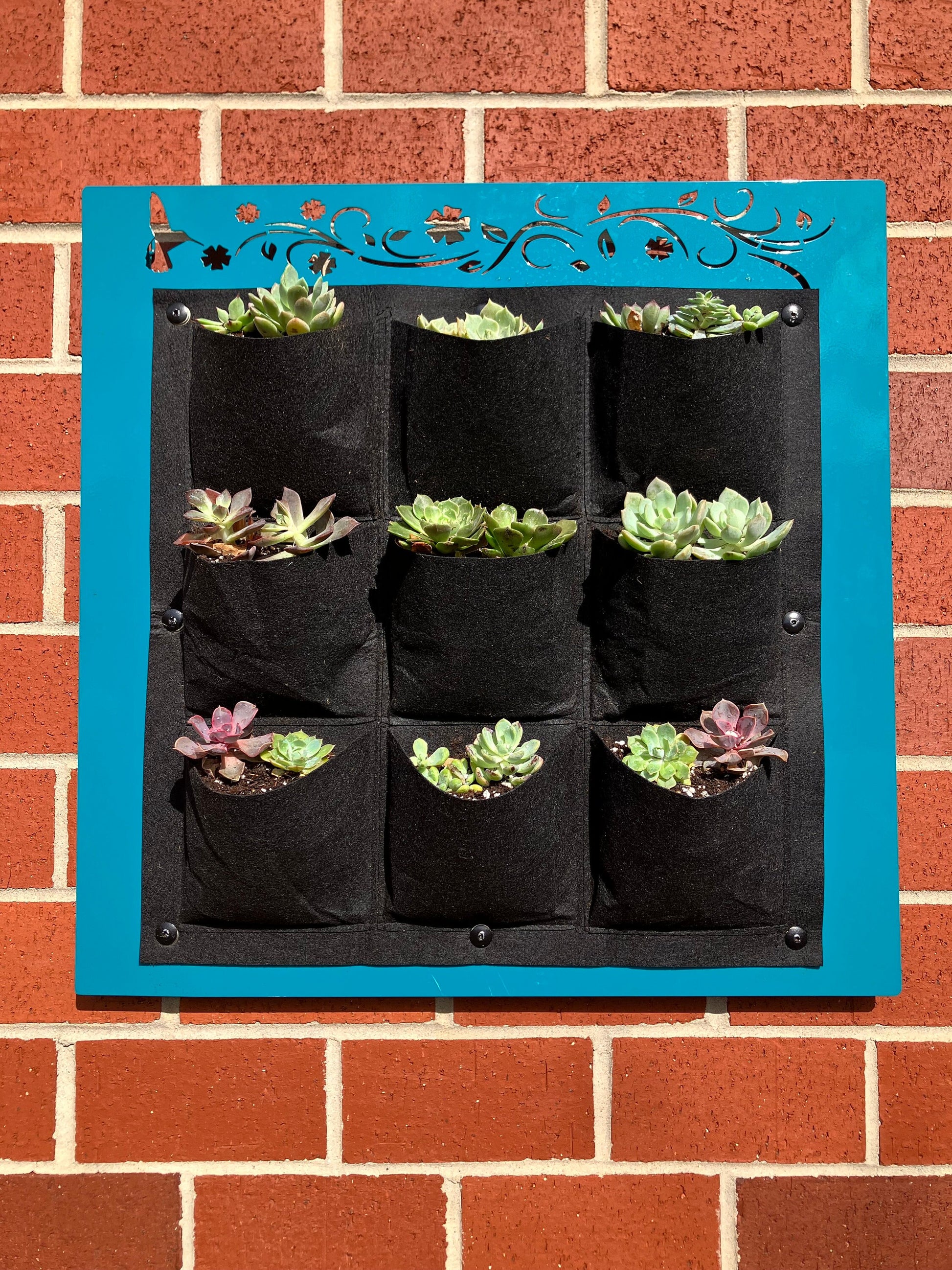 The Floating Garden - Single Layer - 9 Pocket - Wall Planter - Vertical Planter - Indoor - Outdoor - Prismatic Metal